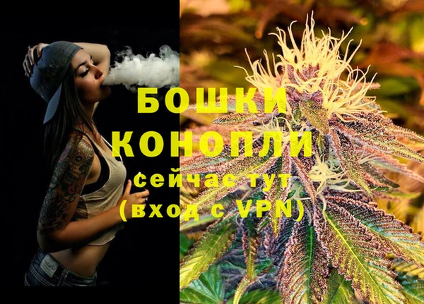 молекула духа Баксан
