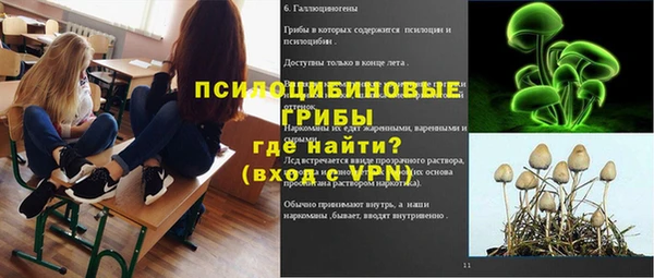тгк Балахна