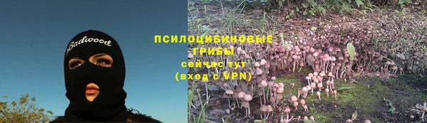 молекула духа Баксан