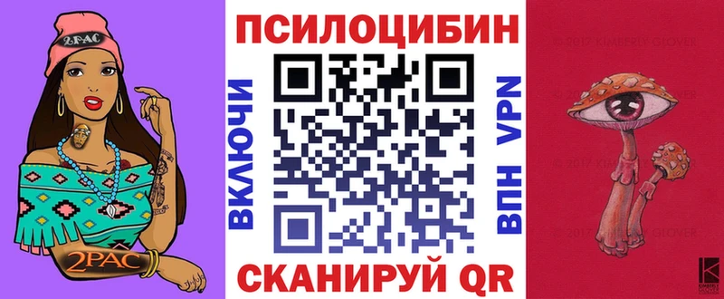 Псилоцибиновые грибы Psilocybe  Купить  Микунь 